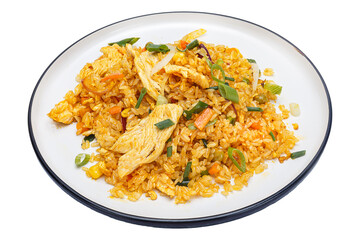 Vietnamese cuisine and food, chicken fried rice, meat on a plate, on a white isolated background