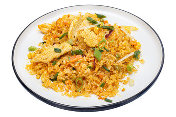 Vietnamese cuisine and food, chicken fried rice, meat on a plate, on a white isolated background