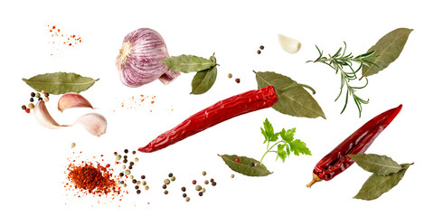 Aroma spice card: dried red hot chilli peppers, cloves garlic, mix peppercorn, bay leaves, rosemary...