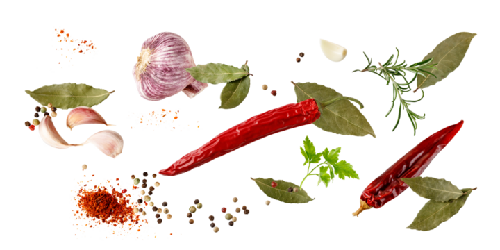 Aroma spice card: dried red hot chilli peppers, cloves garlic, mix peppercorn, bay leaves, rosemary and parsley fresh herb.