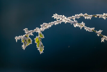 Winter im Unterallgäu