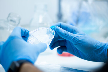 geneticist working with microplate for cells analysis in the genetic lab. Researcher working with...