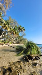 A fantastic beach in Koh Kood in Thailand with crystal clear water on a sunny day.