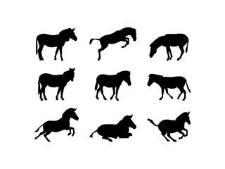 Set of Zebra Silhouette in various poses isolated on white background