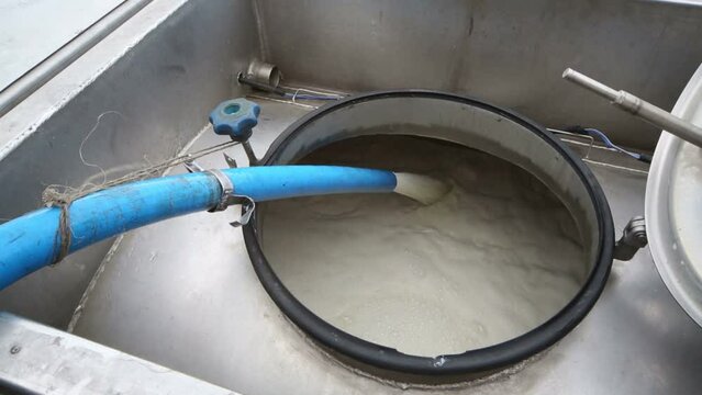 Man is helping to process of filling milk tanker truck.
