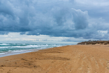 The seashore. Sand dunes.