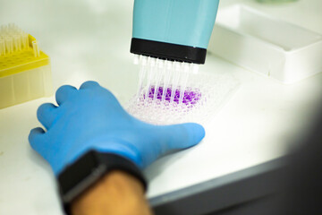 geneticist working with microplate for cells analysis in the genetic lab. Researcher working with...