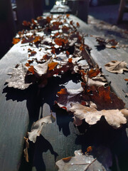 autumn leaves in the park, Autumnal Harmony: Artistic Composition of Dry Leaves on Wooden Surface