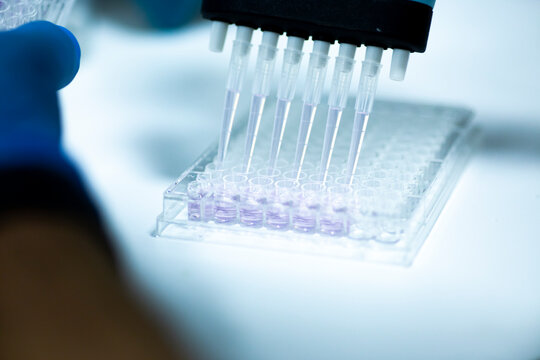 research science cell culture at the medicine, medical and cell culture laboratory