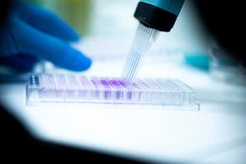 geneticist working with microplate for cells analysis in the genetic lab. Researcher working with...