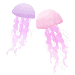 Watercolor pink and purple jellyfish in the sea on white background