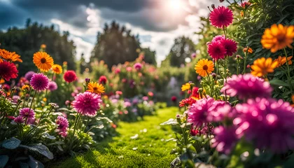 Stoff pro Meter Nahaufnahme eines schönen Gartens voller bunter Blumen und Blüten an einem sonnigen Tag im Frühling oder Sommer nach einem Regen mit strahlendem Sonnenschein, Gärtnern, Park, gestalten © www.barfuss-junge.de
