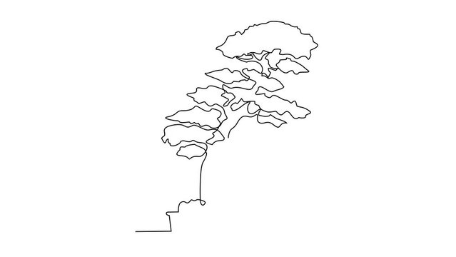 Animated Self drawing of a very nice bonsai plant in front of the house video illustration. Bonsai plant design illustration simple linear style video concept. bonsai design illustration for asset.