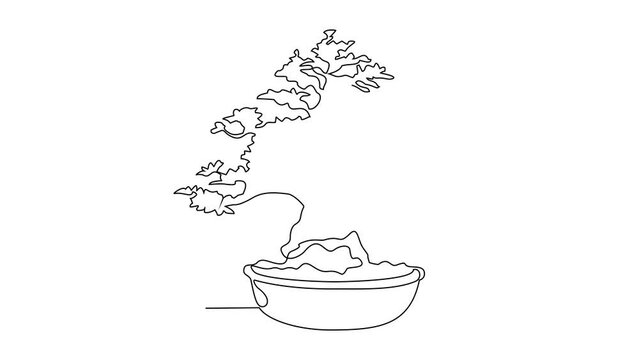 Animated Self drawing of a very nice bonsai plant in front of the house video illustration. Bonsai plant design illustration simple linear style video concept. bonsai design illustration for asset.