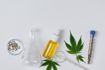 Cannabis CBD oil and hemp leaves with laboratory glass top view. Laboratory glassware and cannabis sativa herb and hemp seeds. Cannabis herbal alternative medicine. - obrazy, fototapety, plakaty