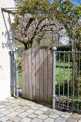 wooden gate to a garden with blooming magnolia in a European city
