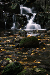 waterfall in autumn