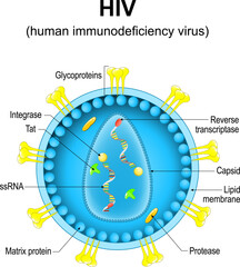 human immunodeficiency virus. Close-up of a HIV virion structure.