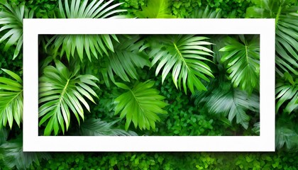 tropical leaves with white frame abstract green leaves natural green background