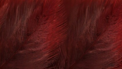 beautiful dark red maroon feather pattern texture background
