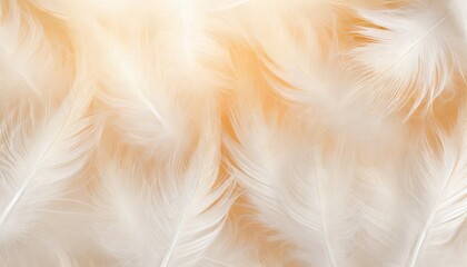 beautiful white feather pattern texture background with orange light