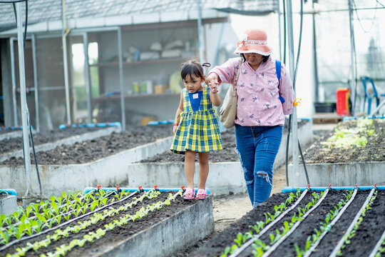 A mother and daughter look at the lettuce seedlings that have been planted in the vegetable garden.