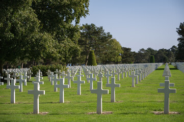 Fototapeta na wymiar Detail of the multitude of white crosses at the Normandy American Cemetery.