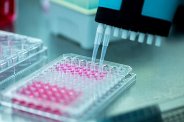 Researcher in laboratory working with cell culture, medical, medicine and cell culture laboratory, safety cabinet