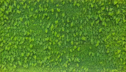 full frame of green leaves pattern background grass wall texture