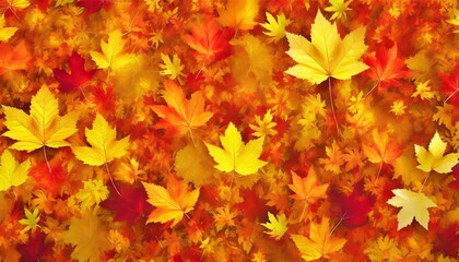 Naklejka na ściany i meble scattered colorful red orange and yellow fall maple leaves background colors of gold autumn seasonal decoration concept