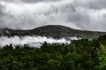 Green mountain among the clouds.