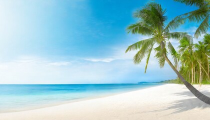 Fototapeta na wymiar beautiful tropical beach banner white sand and coco palms travel tourism wide panorama background concept amazing beach landscape