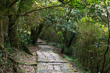 Obraz premium Mountain trail with rocks in taipei city