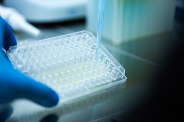 geneticist working with microplate for cells analysis in the genetic lab. Researcher working with samples of tissue culture in microplate in the bioengineering laboratory