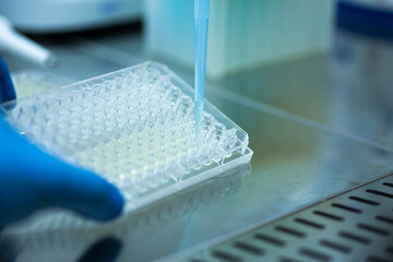 Researcher in laboratory working with cell culture, medical, medicine and cell culture laboratory, safety cabinet