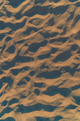 sand dune texture during golden hour
