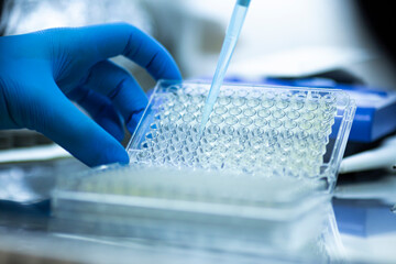 Researcher in laboratory working with cell culture, medical, medicine and cell culture laboratory,...