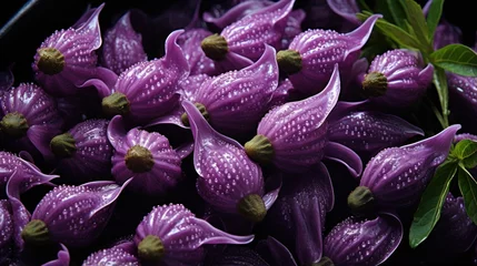 Fotobehang Fluoro purple magic pepers photo.UHD wallpaper © Murtaza03ai