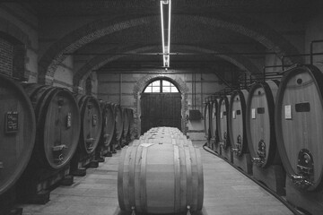 old wine barrels in cellar