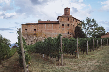 vineyard with castle in the background