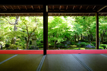圓光寺の客間からの新緑が美しい庭園の風景