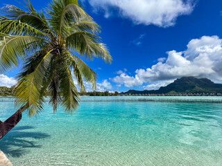 Bora Bora's paradise, French Polynesia