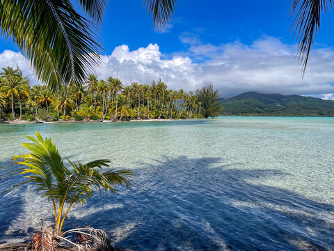 Taha'a's paradise, French Polynesia