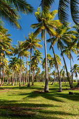 Obraz premium Huahine's paradise, French Polynesia