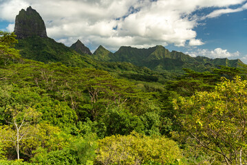 Moorea's belvedere, French Polynesia