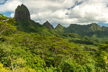 Fototapeta na wymiar Moorea's belvedere, French Polynesia