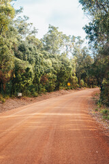 Australian forest road , red land 