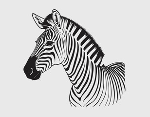 Fototapeta na wymiar standing grevy's zebra vector illustration isolated on white