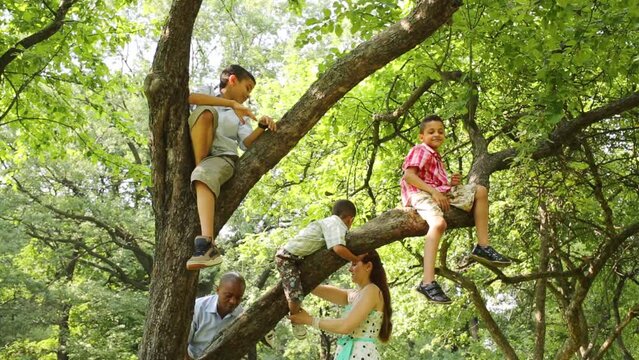 Parents with four children playing in the park on a tree