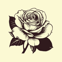 Vector hand drawn rose isolated on background